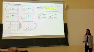 PPS3 | INL apresenta desenvolvimentos na E-MRS 2025